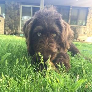 Meet your Posher, Taylor