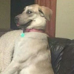 Meet your Posher, Reggie