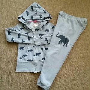 Primp Brand Elephant