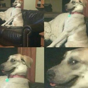 Meet your Posher, Caitlin