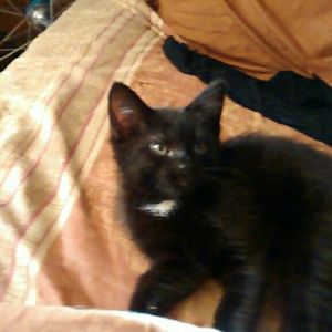 Meet your Posher, Kelly