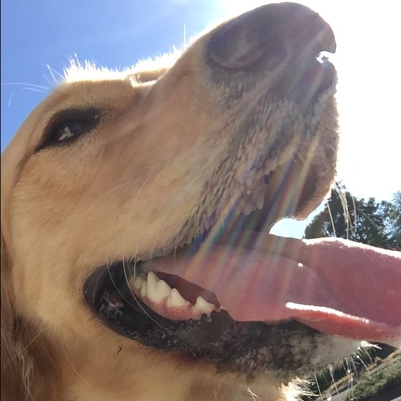 Meet your Posher, Caitlin - Picture 1 of 1