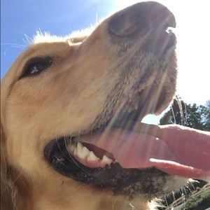 Meet your Posher, Caitlin