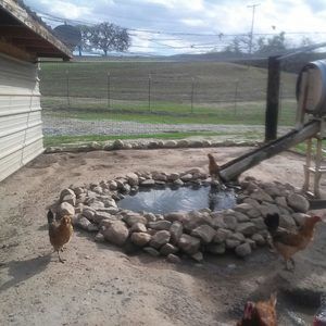 Meet your Posher, Patricia