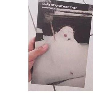 Meet your Posher, Antonette