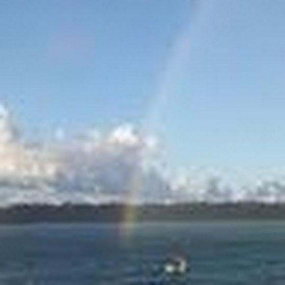 Meet your Posher, Kitty