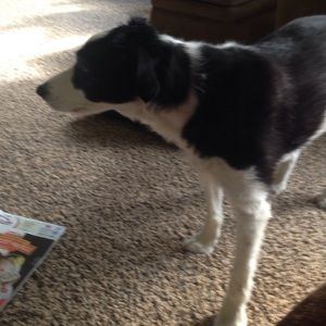 Meet your Posher, Jackie