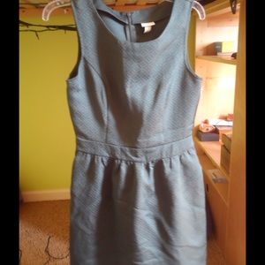 NWT Fit and Flare Dress
