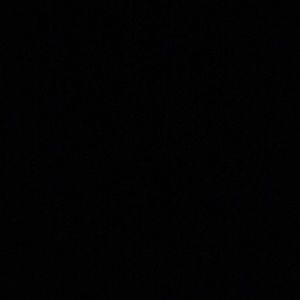 Meet your Posher, Brandi