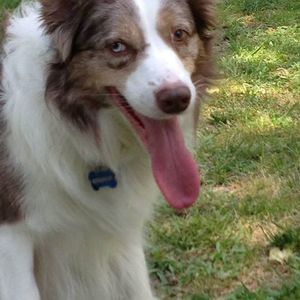 Meet your Posher, Angie