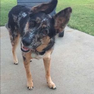 Meet your Posher, Caitlyn