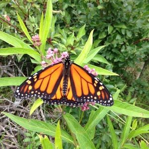 Meet your Posher, Paula