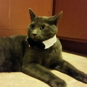 Meet your Posher, Jared