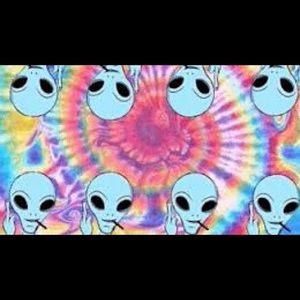 Meet your Posher, Maya