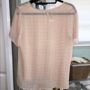 Semi Sheer Madewell Light Pink Blouse