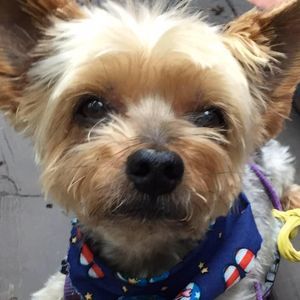 Meet your Posher, Lynn