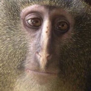 Meet your Posher, Savanna