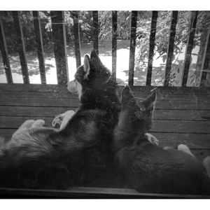 Meet your Posher, Kaitlyn