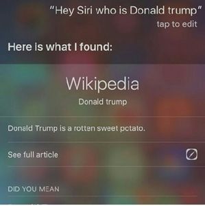 Meet your Posher, Haley