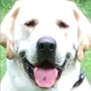 Meet your Posher, Logan