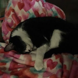 Meet your Posher, Laura