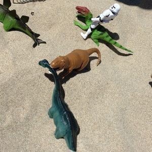 Meet your Posher, Sheila