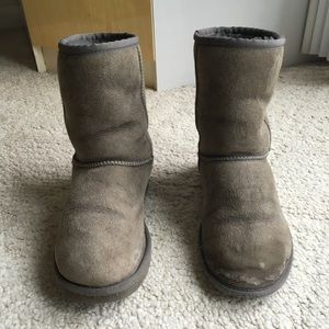 Classic short ugg boots - gray