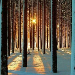 Meet your Posher, Michele