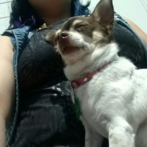 Meet your Posher, Kali