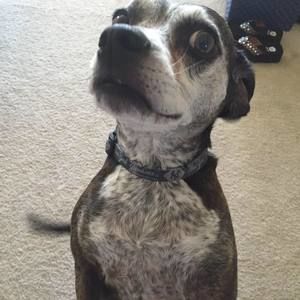 Meet your Posher, Elaine