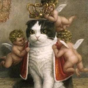 Meet your Posher, Tifani