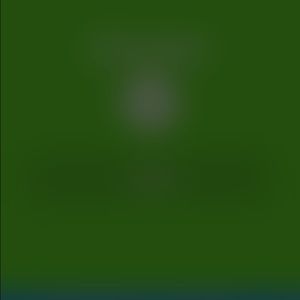 Meet your Posher, Bri