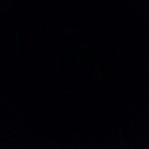 Meet your Posher, Angel