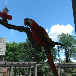 Meet your Posher, Marisol