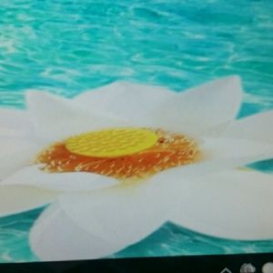 Meet your Posher, Mandy