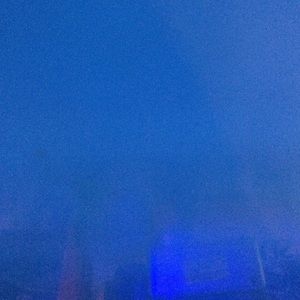 Meet your Posher, Bette