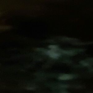 Meet your Posher, Brandi