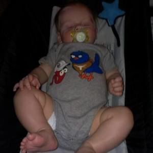 Meet your Posher, Betty