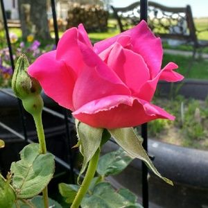 Meet your Posher, Gina