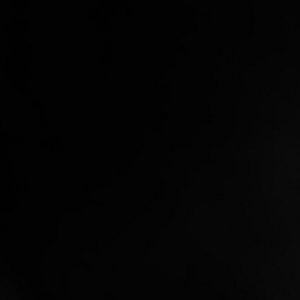 Meet your Posher, Shanell