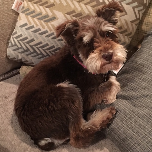 Meet your Posher, Vicki