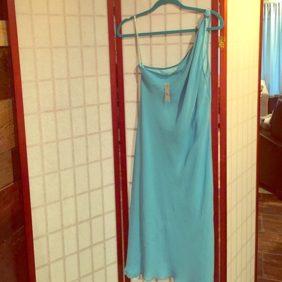 NWT Express 100% Silk One-Shoulder dress!
