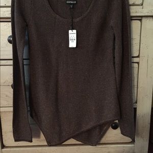 Express Sparkle sweater