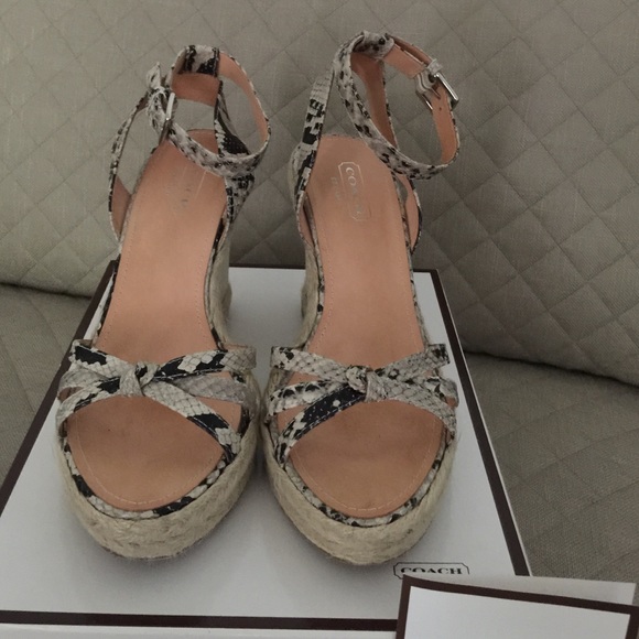 Coach "Helen" Printed Python Espadrilles Wedge - image 4
