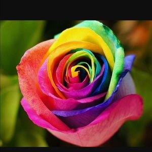 Meet your Posher, Eva