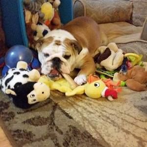 Meet your Posher, Janine