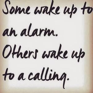 Meet your Posher, Quincy