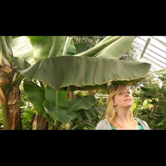 Hey y'all!  I'm Holly! - Picture 2 of 3