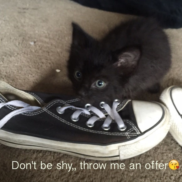 Let's make a deal..👍🏼 - Picture 1 of 1