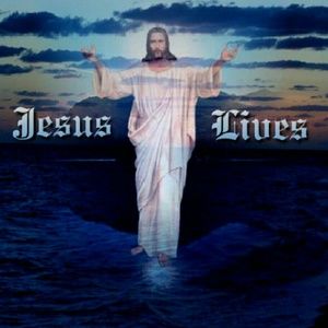 Meet your Posher, Tabby